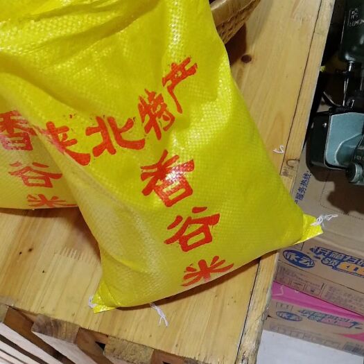 西安香谷小米 