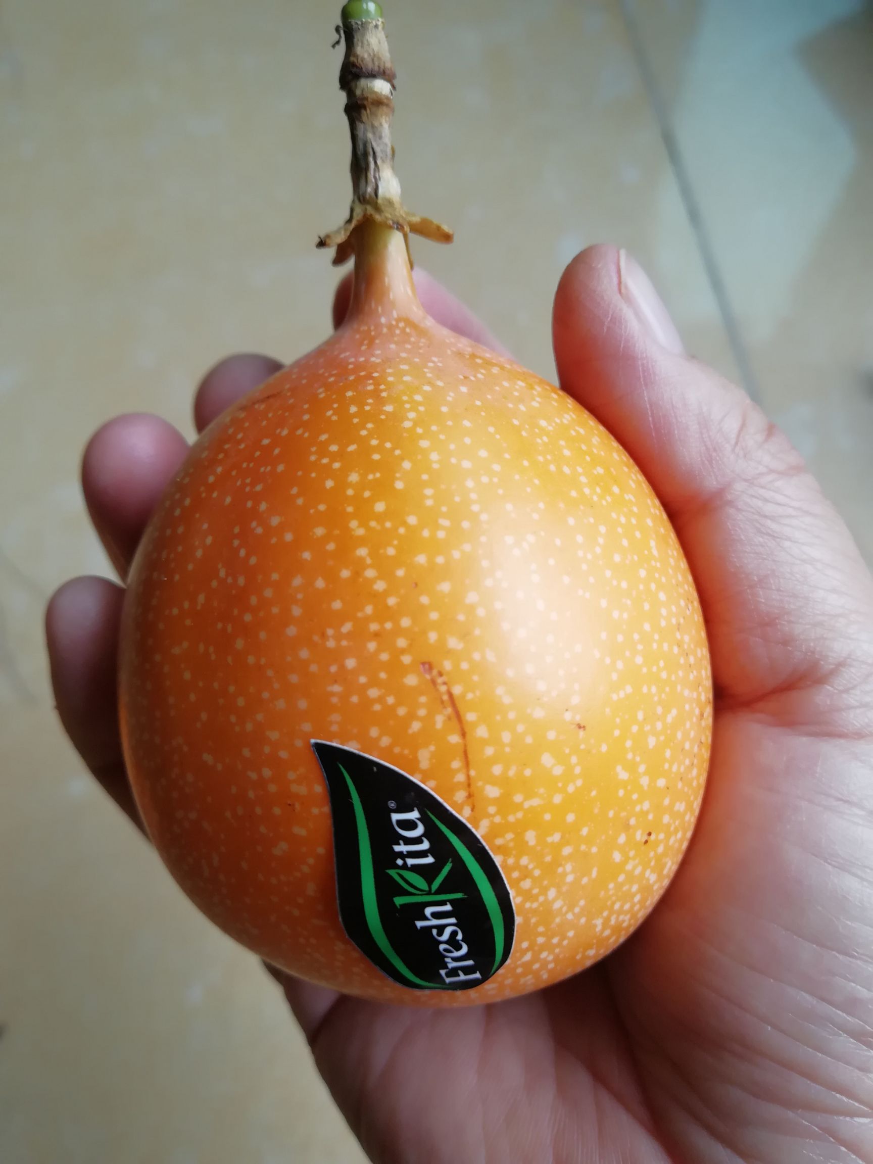 哥伦比亚百香果苗 