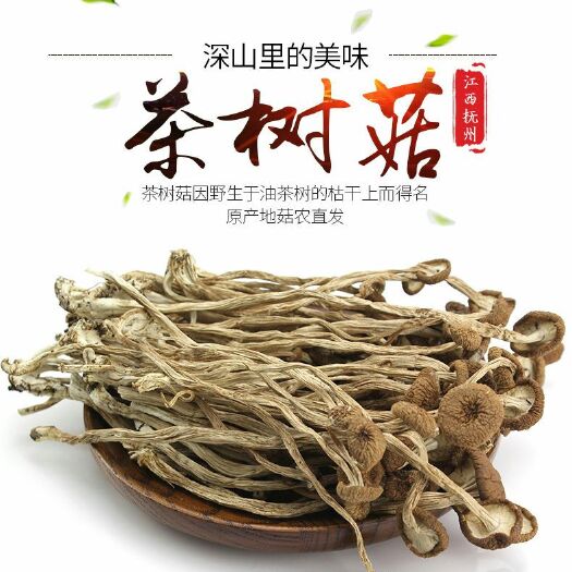 迁安市茶树菇  菇子干货菇子晒干菇子山中珍品菇子