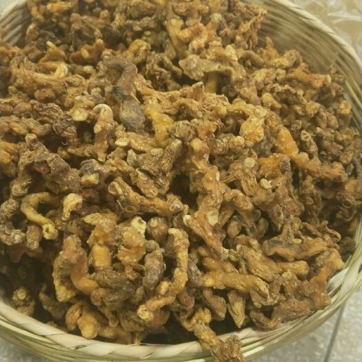 德保县姜形黄精 块
