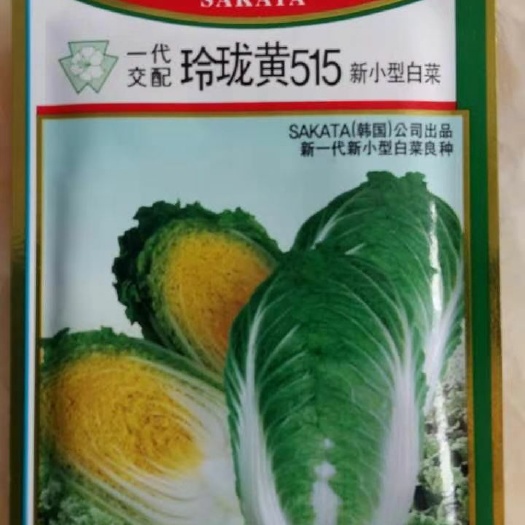 北京小白菜种子 坂田515娃娃菜