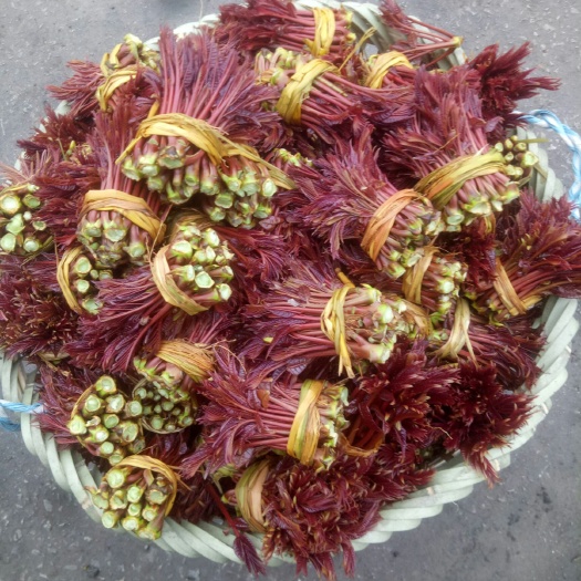 达州红油香椿芽 6~9cm 