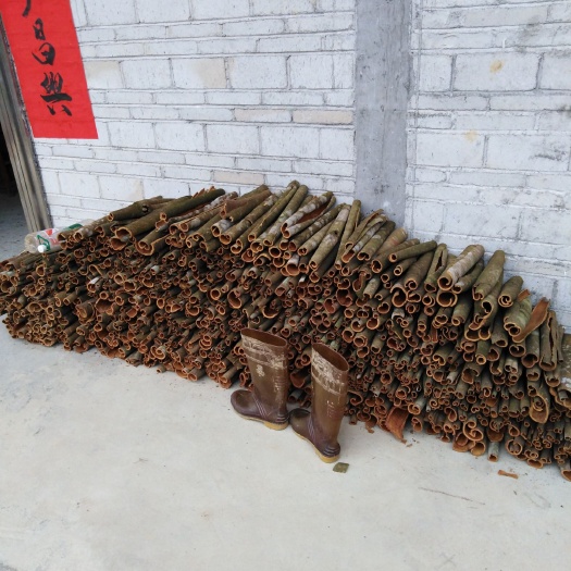 藤县普通桂皮 