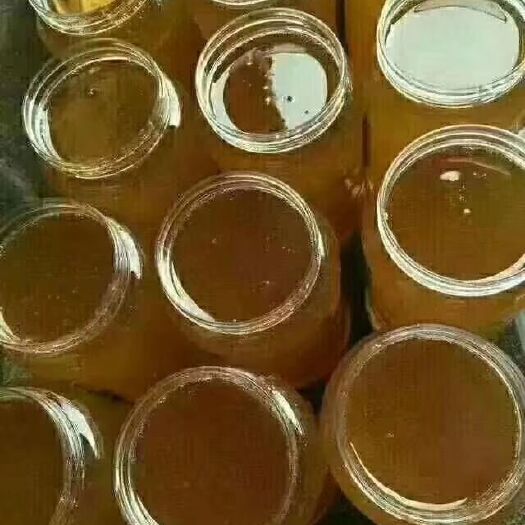 景洪市土蜂蜜 桶装 2年以上 95%以上 