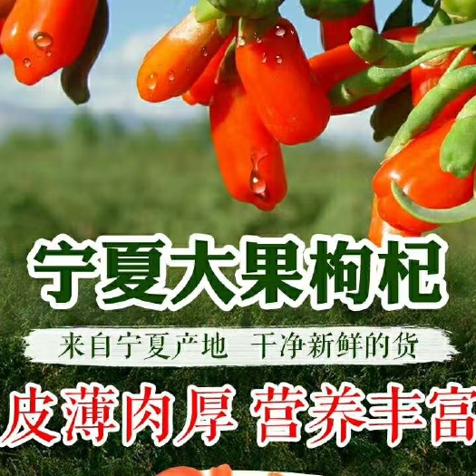 银川中宁枸杞 特优级 