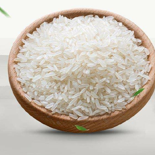 郯城县贡米 一等品 一季稻 粳米
