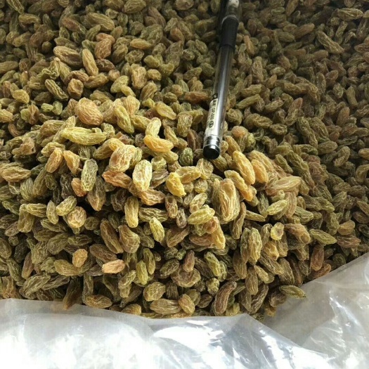 广州绿香妃葡萄干 优等 