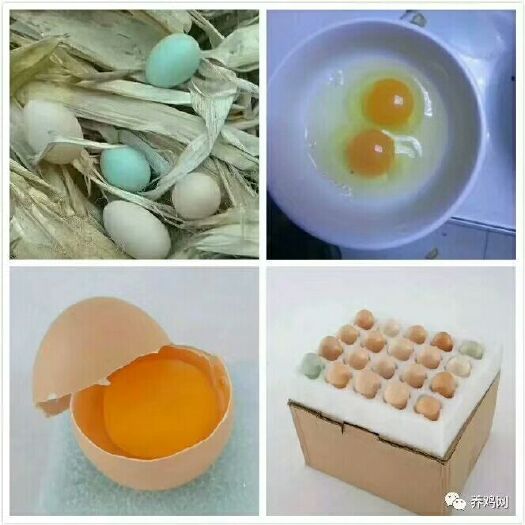 巨野县土鸡蛋 食用 箱装 