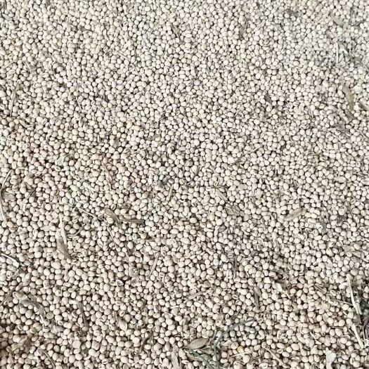 嘉祥县齐黄34黄豆 生大豆 2等品 