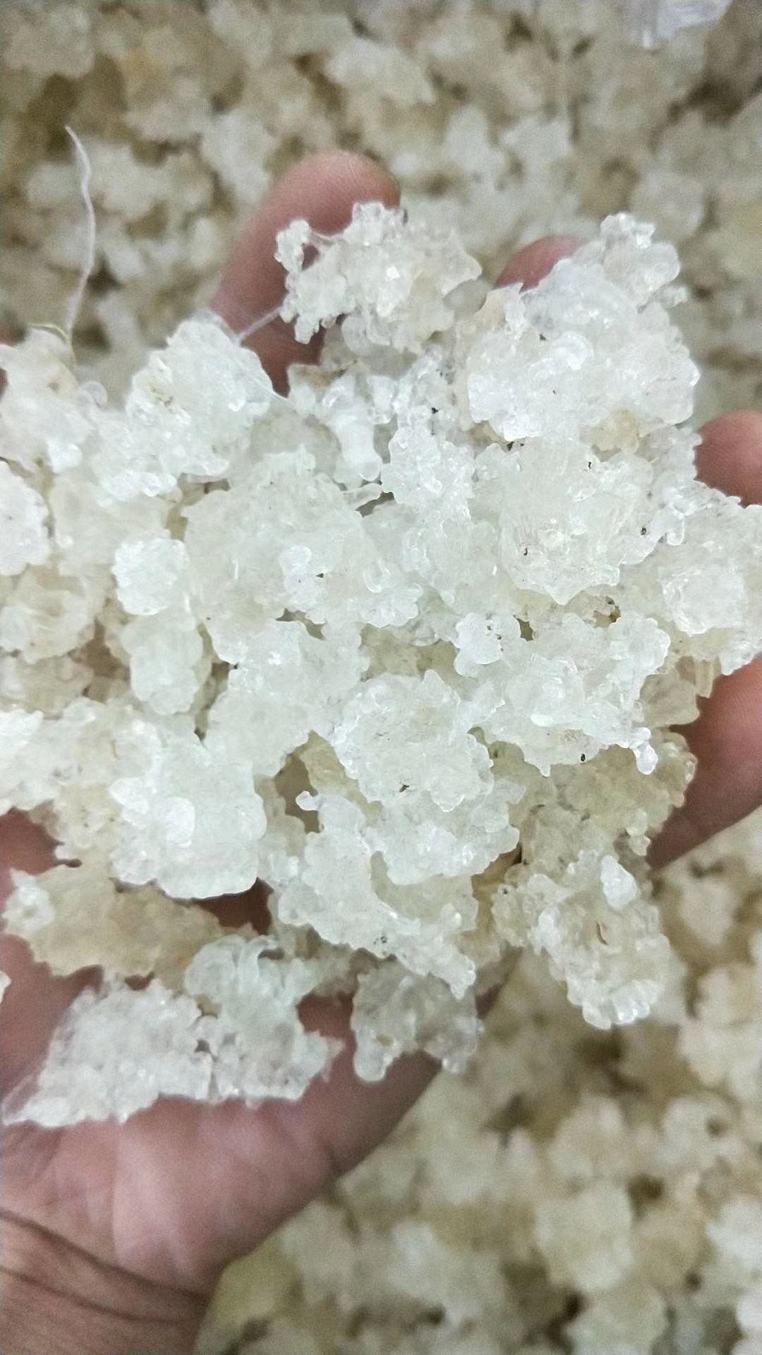 西宁雪燕  顶 级货  全国包邮  只卖最 好的