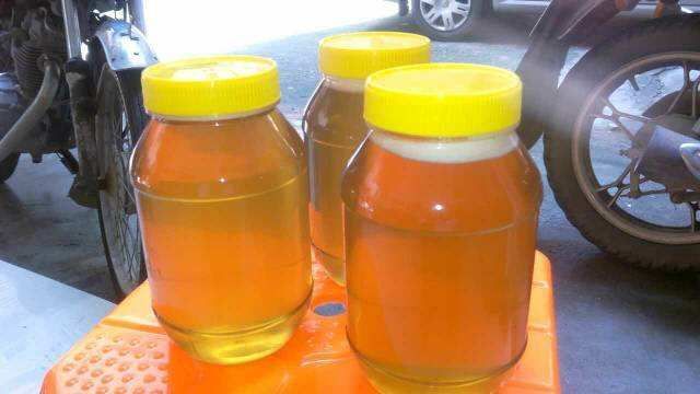 毕节土蜂蜜 玻璃瓶装 2年  