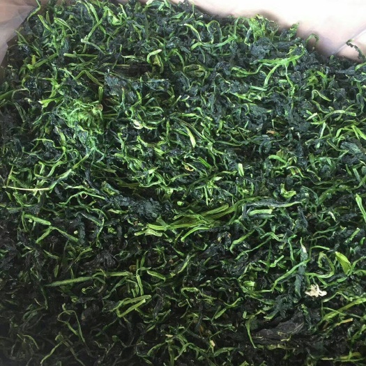 邳州市万年青菜干