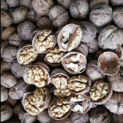 阿克苏市 新疆纸皮核桃，鲜货