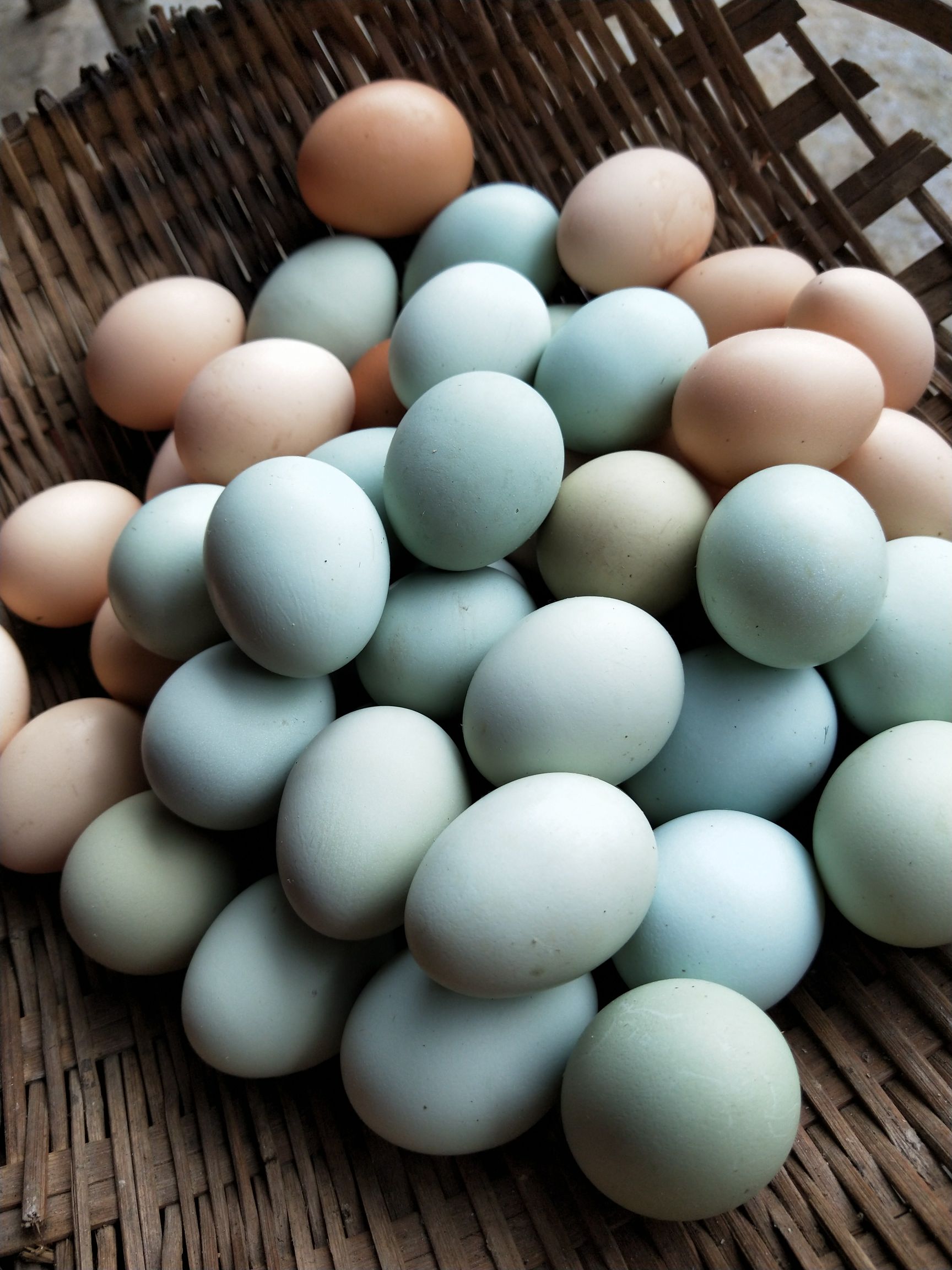 土鸡蛋 食用 散装 