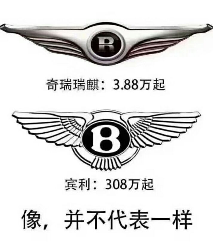 菜芙蓉种子 精品种子，金花葵种子 需要的联系   吆五吆零九三六五四六三