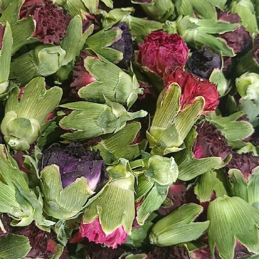 安国市康乃馨干花 花茶康乃馨（各种规格花茶批发零售)