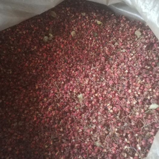 平顺县大红袍花椒 特级 干花椒 