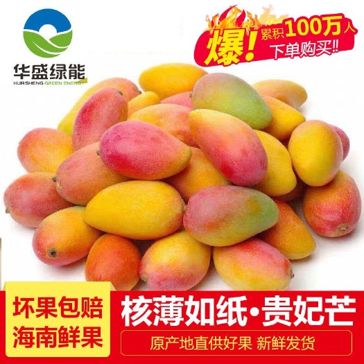 建宁县贵妃芒 ，