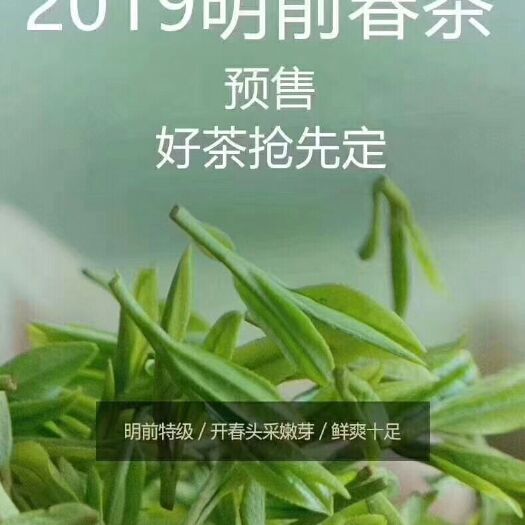 岳西县岳西翠兰 礼盒装 一级 