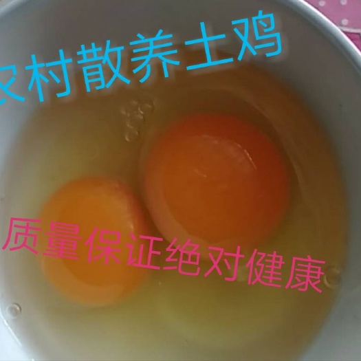 建昌县土鸡蛋 食用 散装 