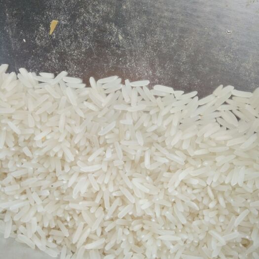 江华县象牙粘 象牙香粘