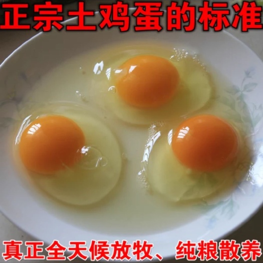 武安市土鸡蛋 食用 礼盒装 