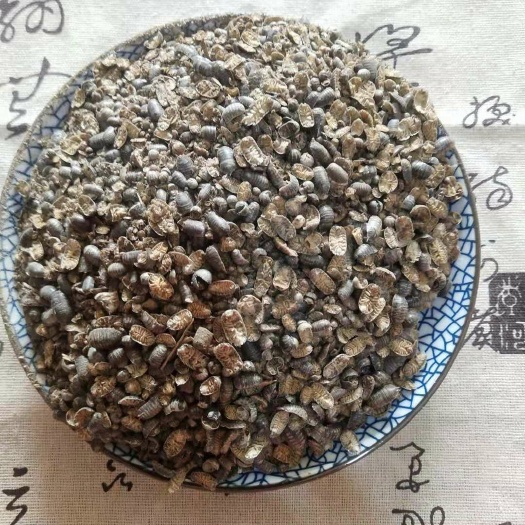 安国市鼠妇  包邮 虫 潮虫 地虱 破血於 止痛利尿