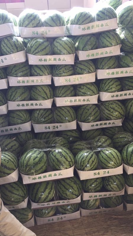 夏邑县夏邑十万亩8424西瓜大量供应