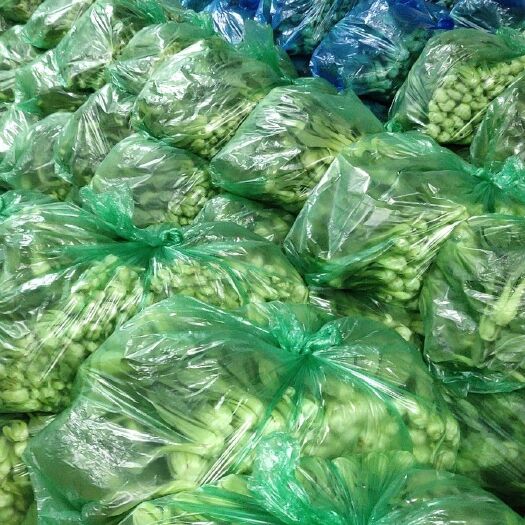 曹县北方小油菜 2~3两