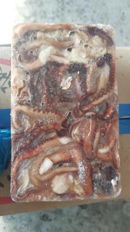 烟台鱿鱼 