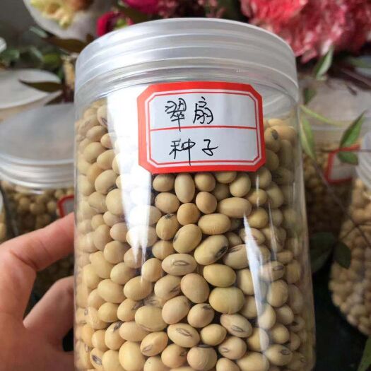 五河县黄大豆 生大豆 1等品 