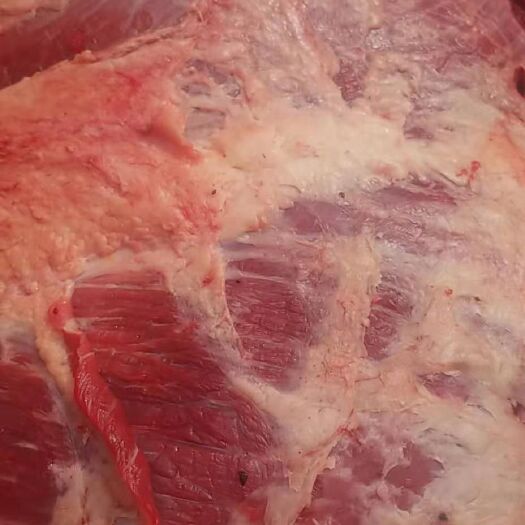 牛肉类 生肉 