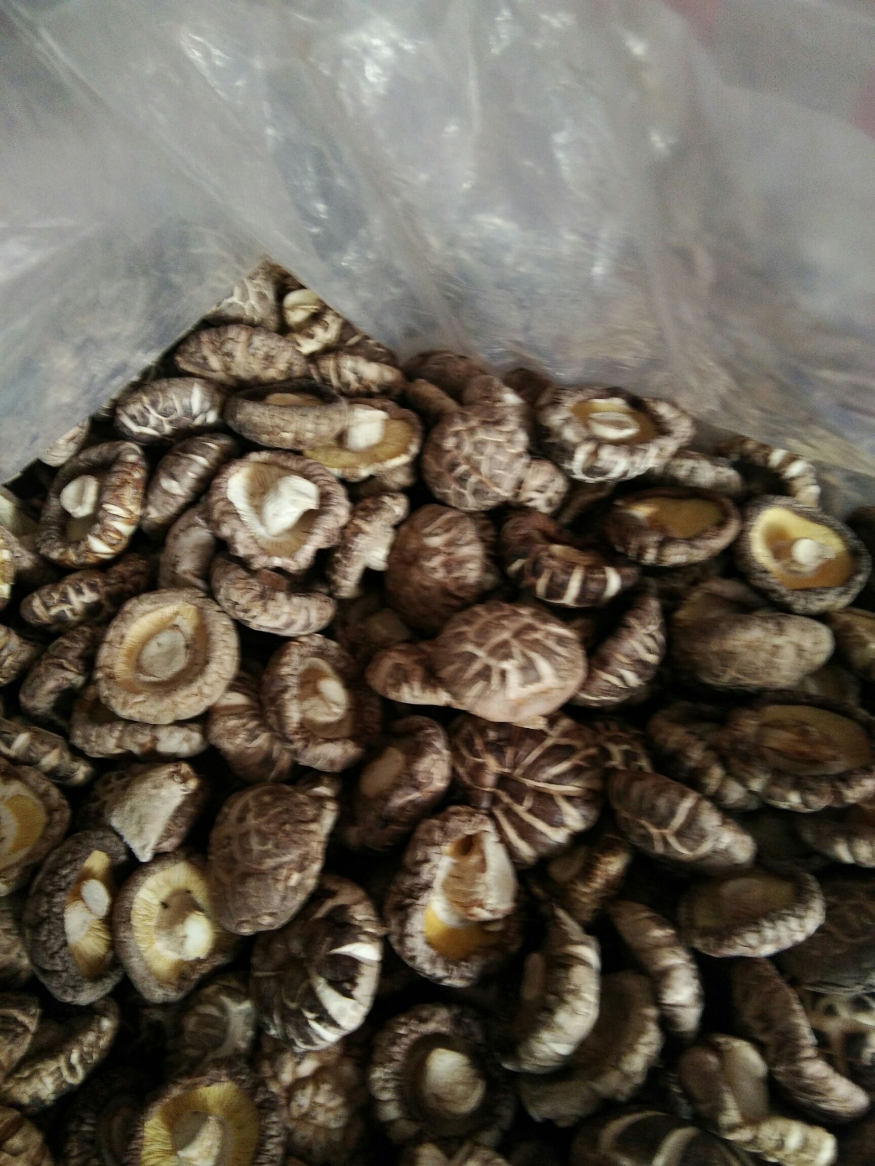 河南南阳干香菇批发  品质食用菌供货