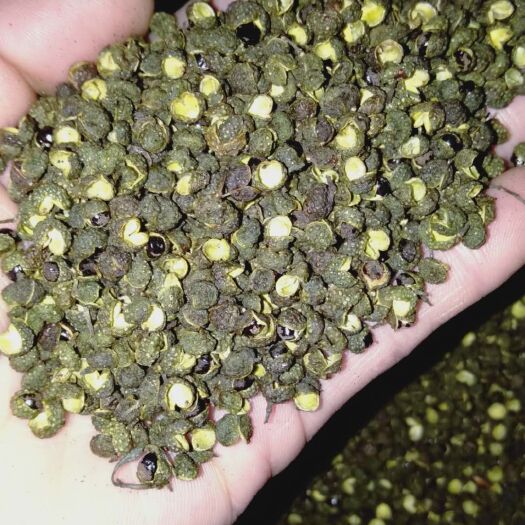 枣庄青花椒 一级 干花椒