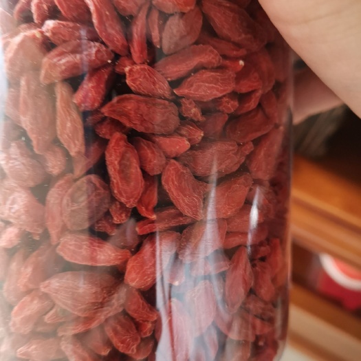樟树市红枸杞 特优级 