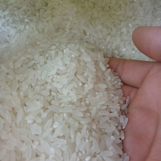 梅河口市稻花香二号大米 一等品 一季稻 粳米