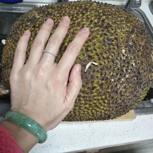昆明泰国菠萝蜜 15斤以上 