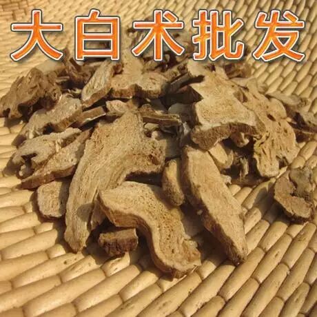 亳州炒白术 