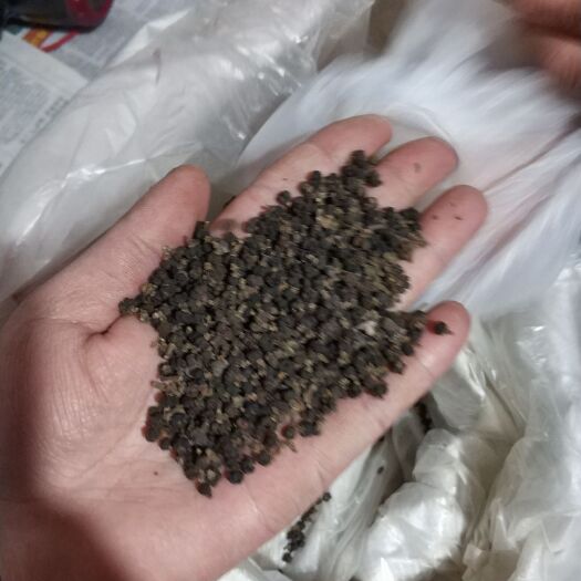 营山县吴茱萸