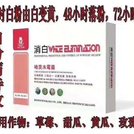 郑州水溶肥料 专病专治，生物制剂