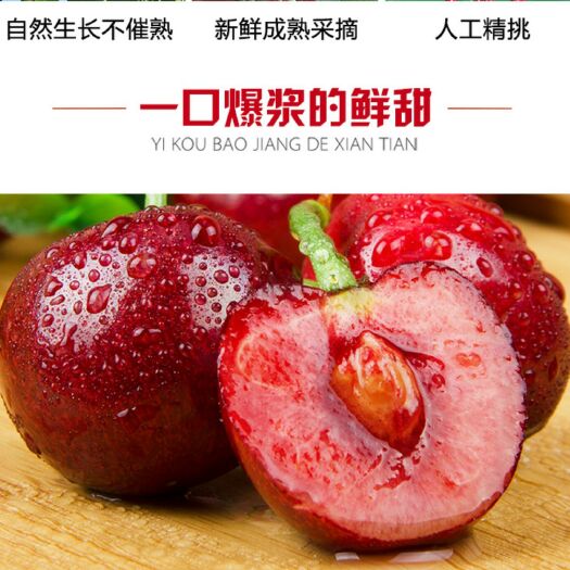 瓦房店市大樱桃 20mm以上 8-12g 