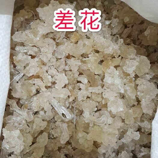 瑞丽市雪燕