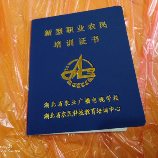 洪湖市龙虾苗 湖北省荆州市洪湖市