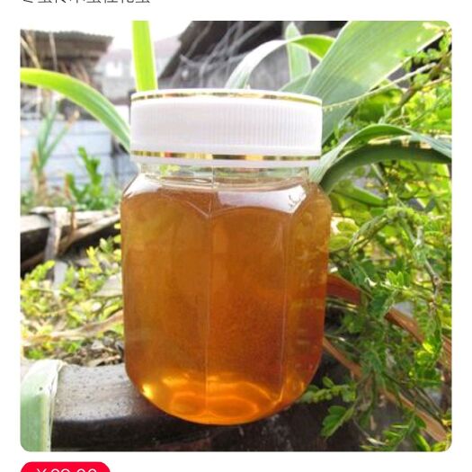 长阳县土蜂蜜
