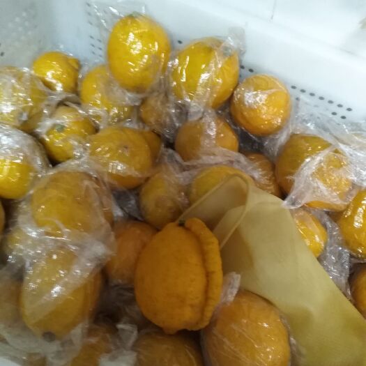 达州黄柠檬 2 - 2.6两 