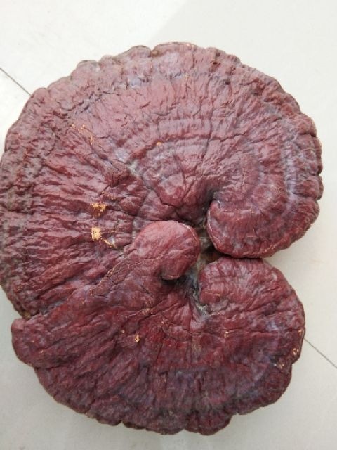 保靖县包装设计