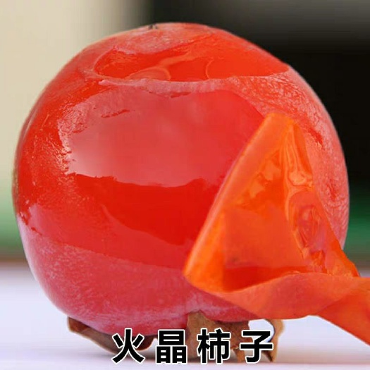 平邑县火晶柿子苗 