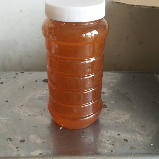 潍坊荆条蜜 桶装 2年  