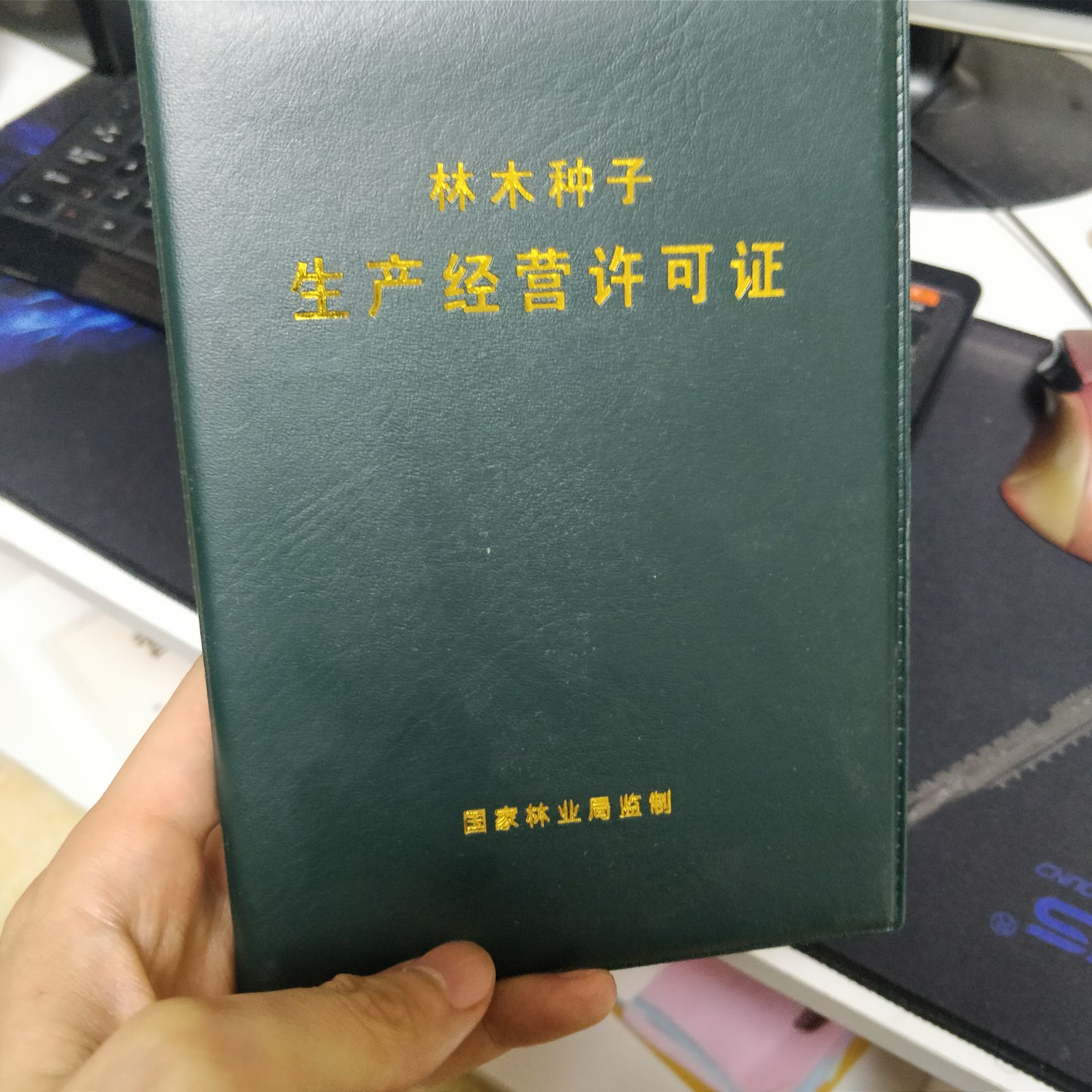 藤稔葡萄苗 乒乓球大粒 成熟期早卖价高 适应性强 教管理技术 假一赔十