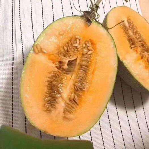 昆明西州蜜 5斤以上 